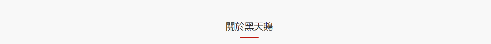 深圳網(wǎng)站設(shè)計(jì)公司_高端定制設(shè)計(jì)網(wǎng)站_營銷型網(wǎng)站設(shè)計(jì)制作_深圳網(wǎng)站建設(shè)