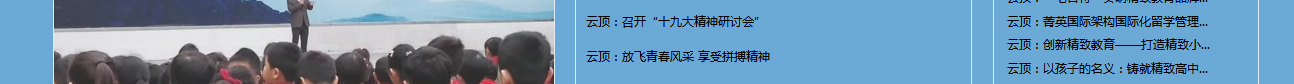 云頂學(xué)校網(wǎng)站效果圖